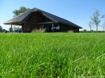 Tappenmars wijngaard